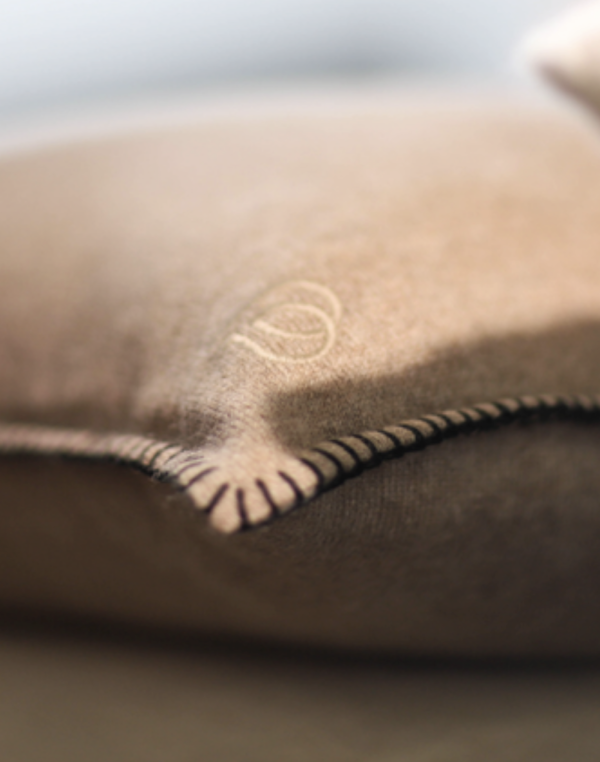 Cushion